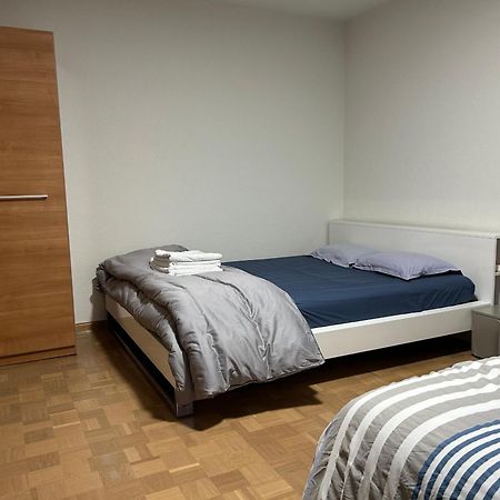 Apartement Saint Louis Train Station- Euroairport- Basel Екстериор снимка
