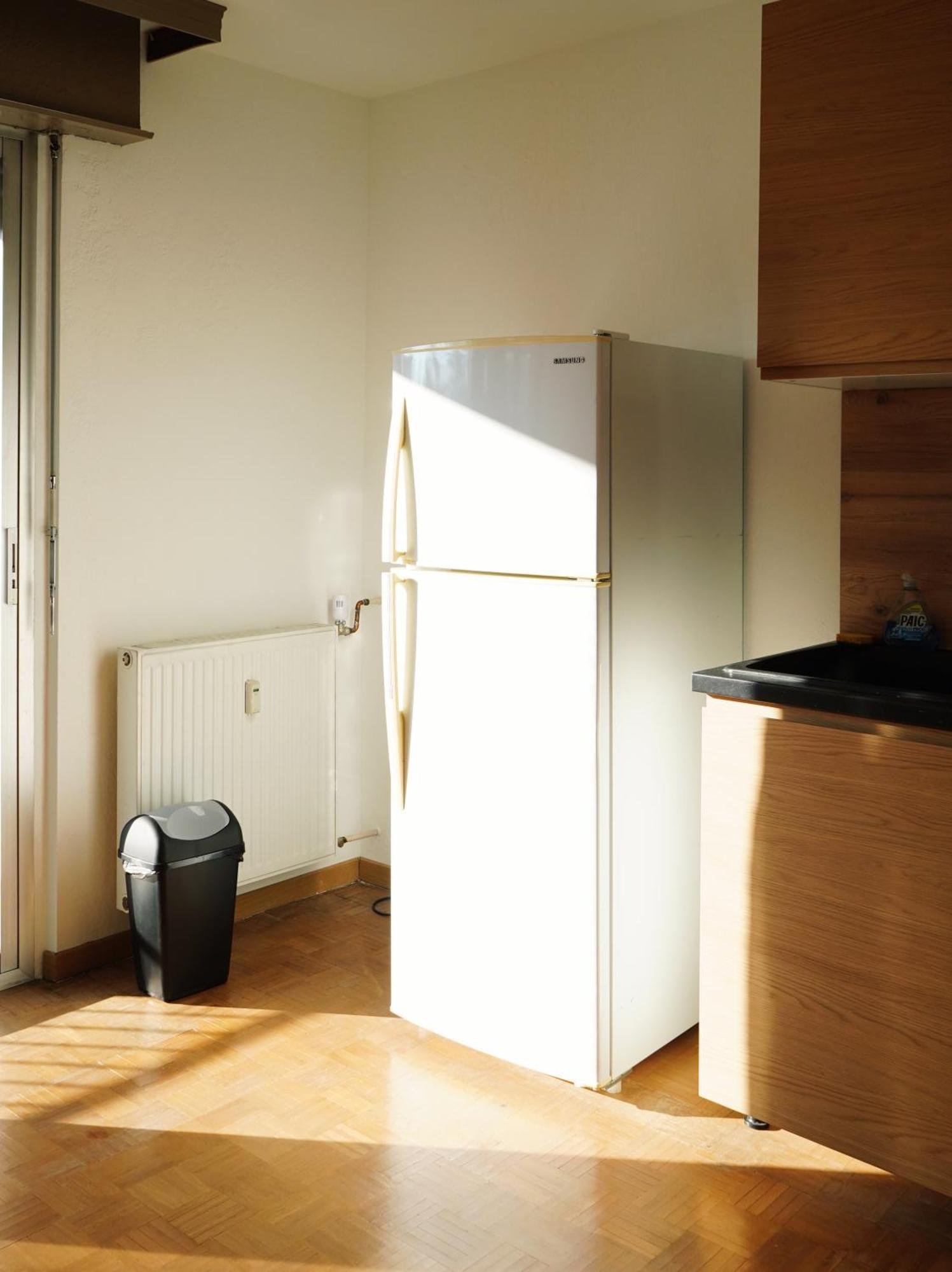 Apartement Saint Louis Train Station- Euroairport- Basel Екстериор снимка